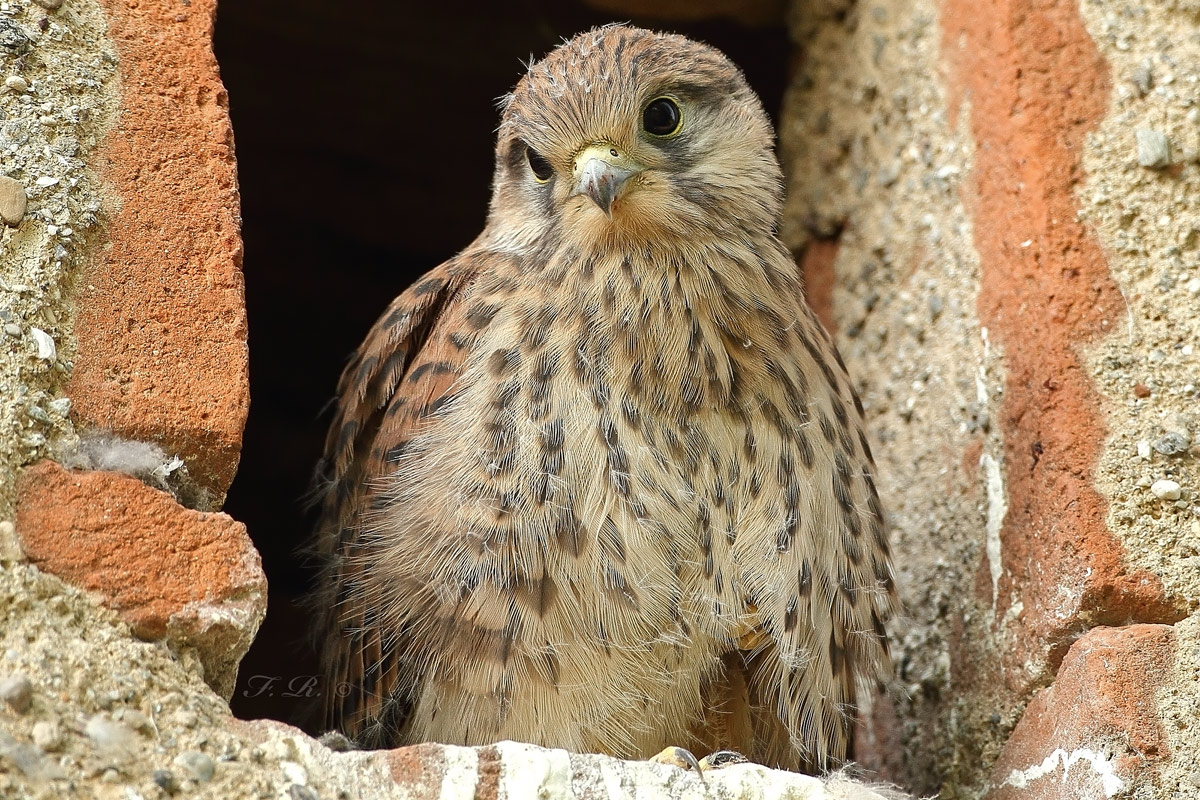 uno sguardo dalla finestra