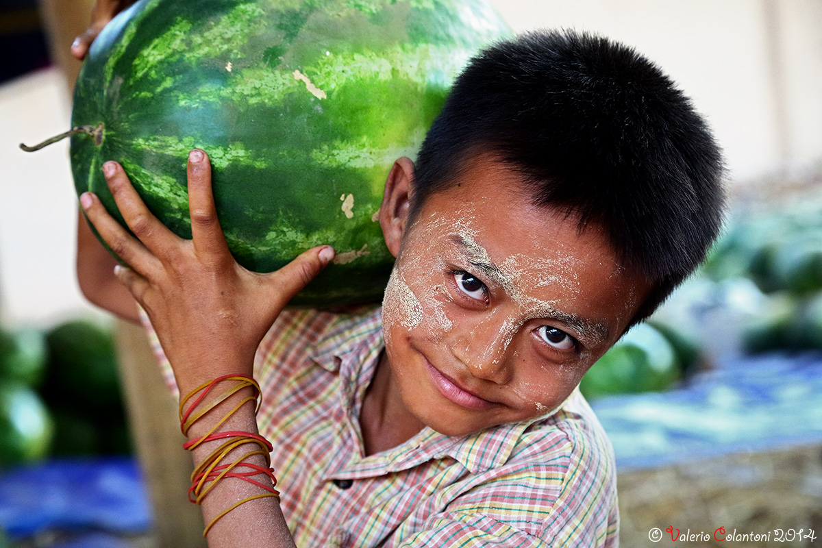 Piccolo cocomeraio - Myanmar