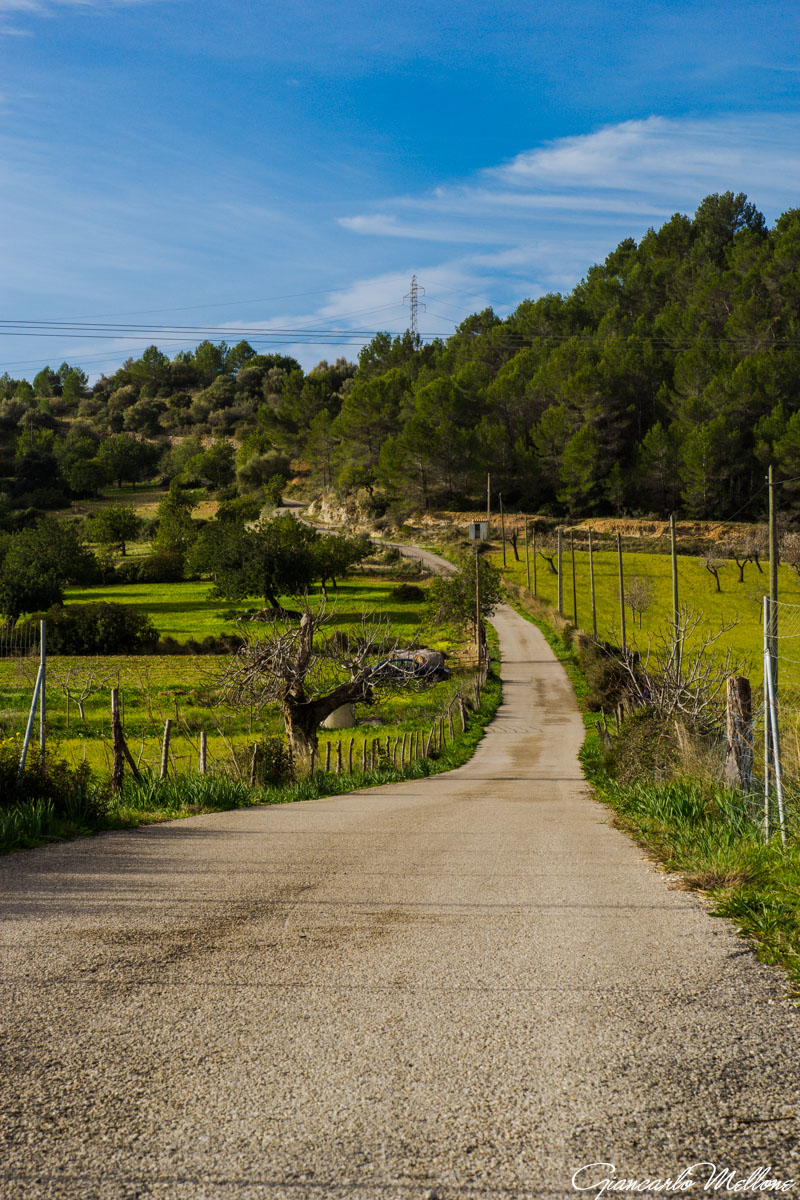 strade di campagna
