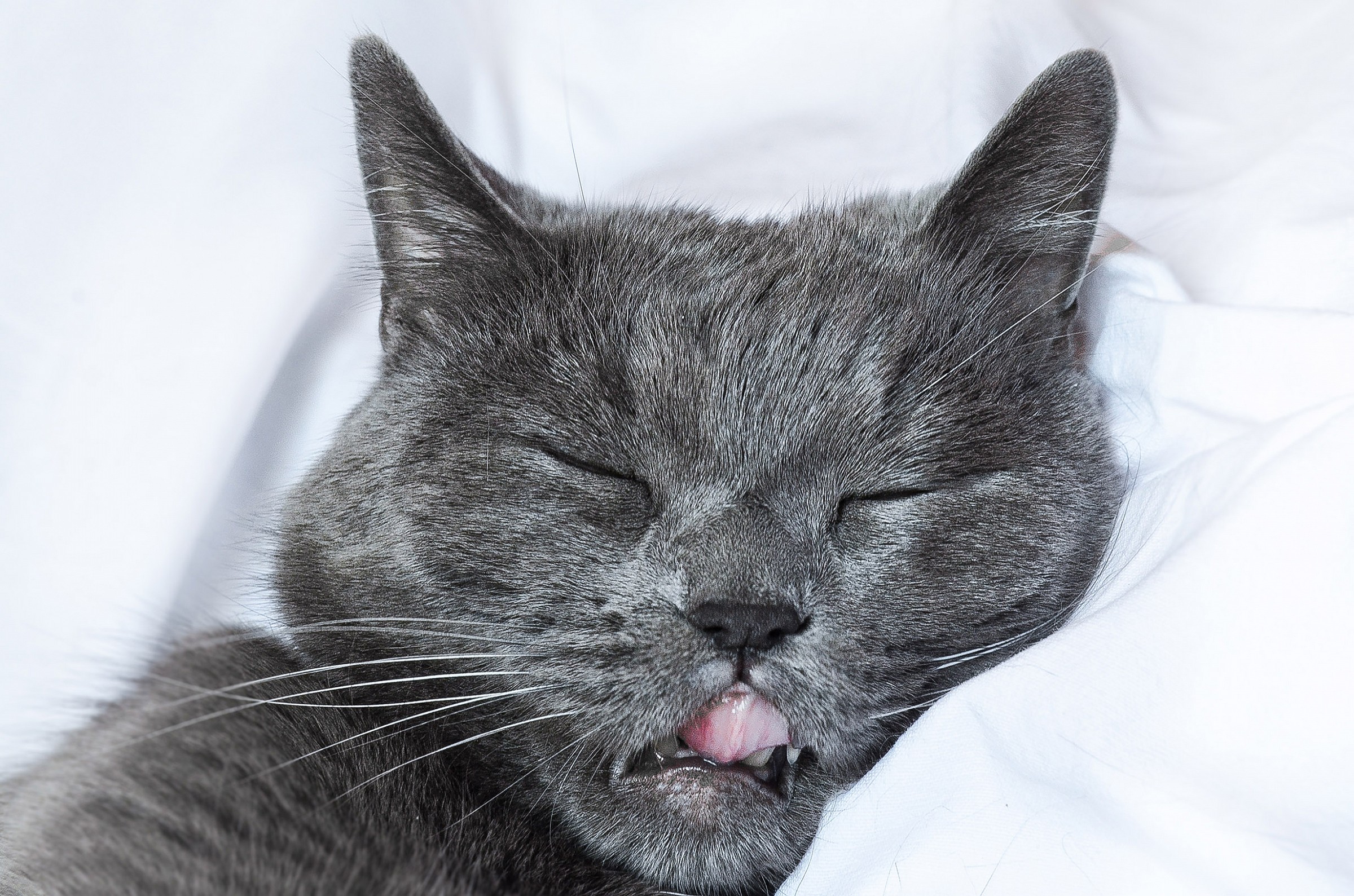 Today you sleep well ...