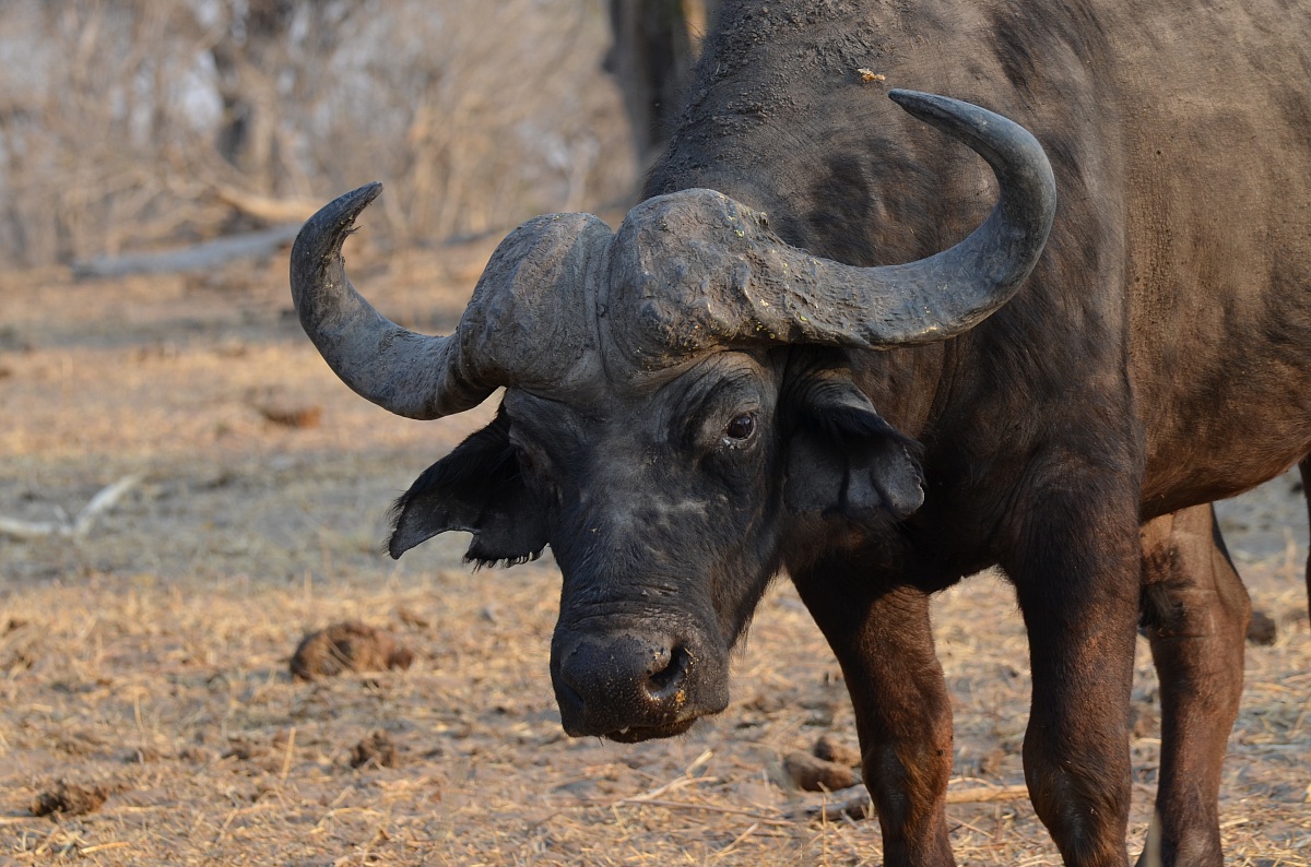 Oooops...un po' vicino...