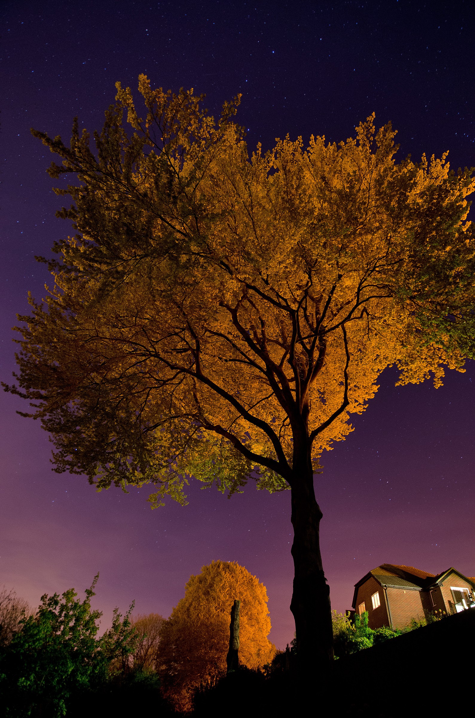 The House on the Hill