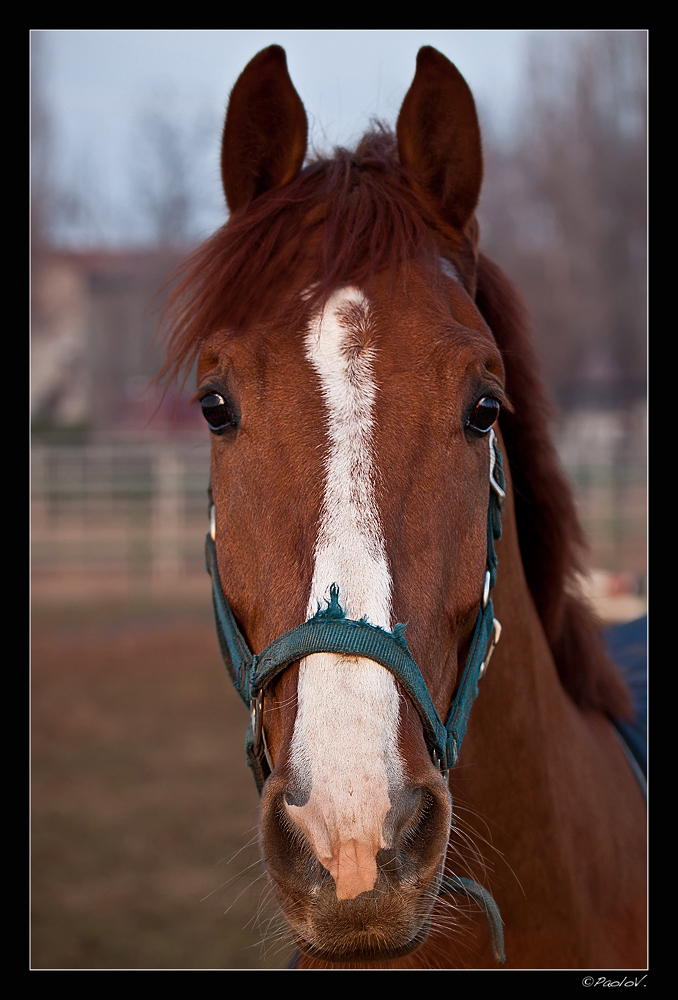 A beautiful model ..