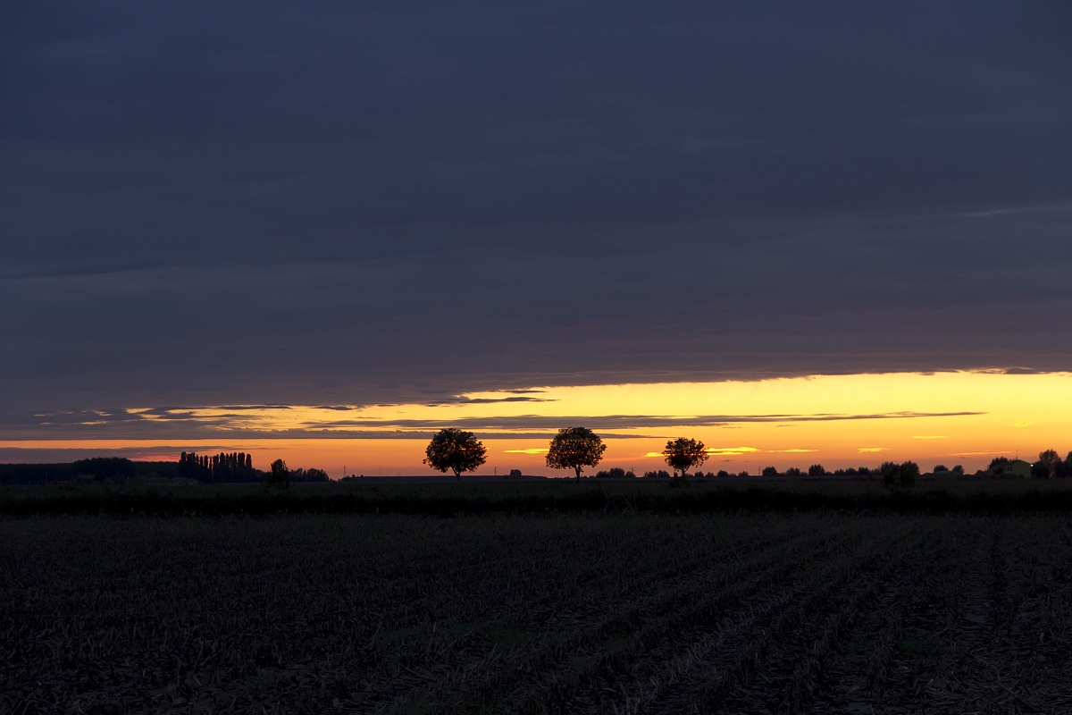 Sunset in the countryside