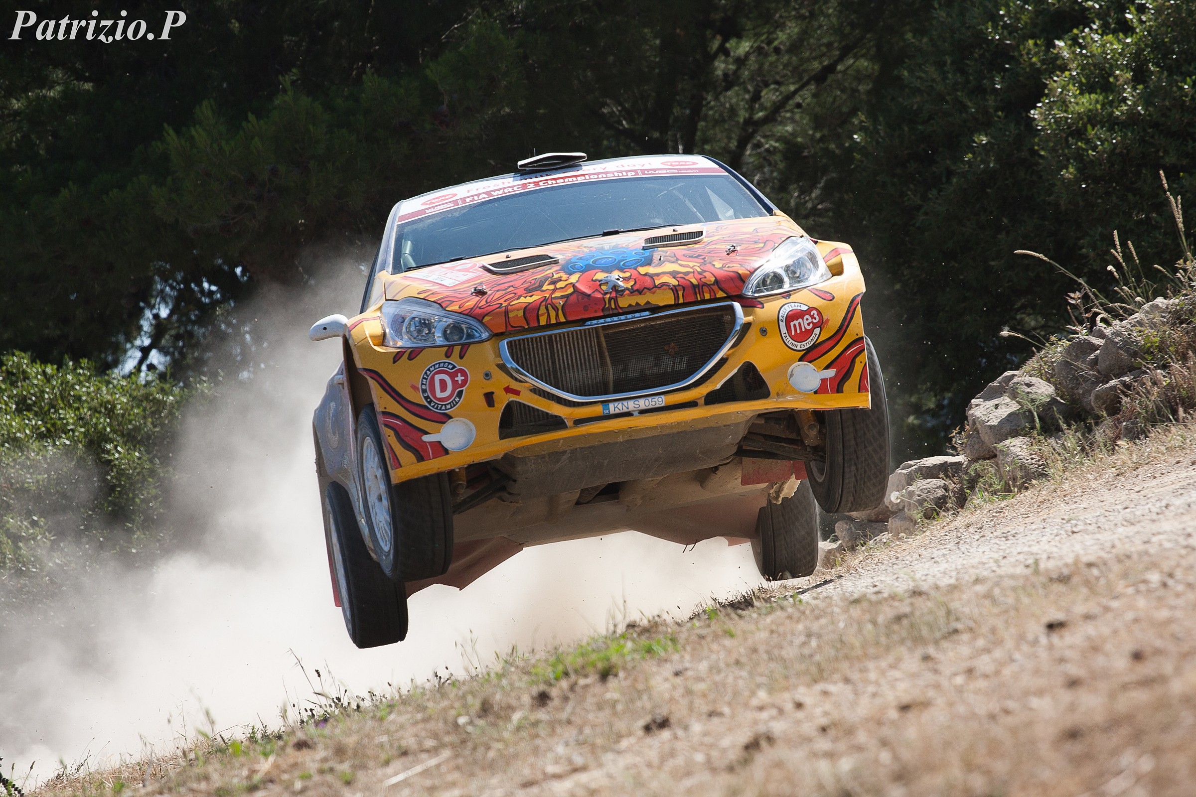 Peugeot 208 T16 - Rally Italia Sardegna 2014