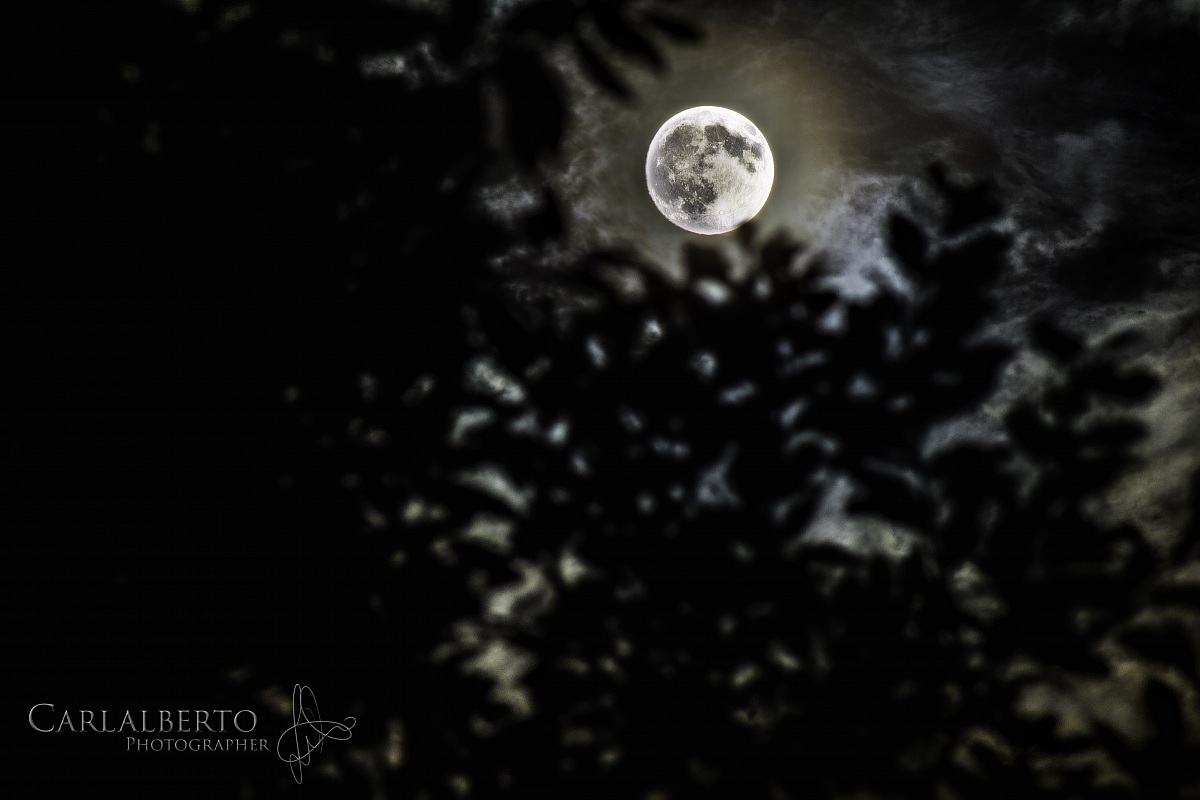 la luna splende su roma 11/06/2014