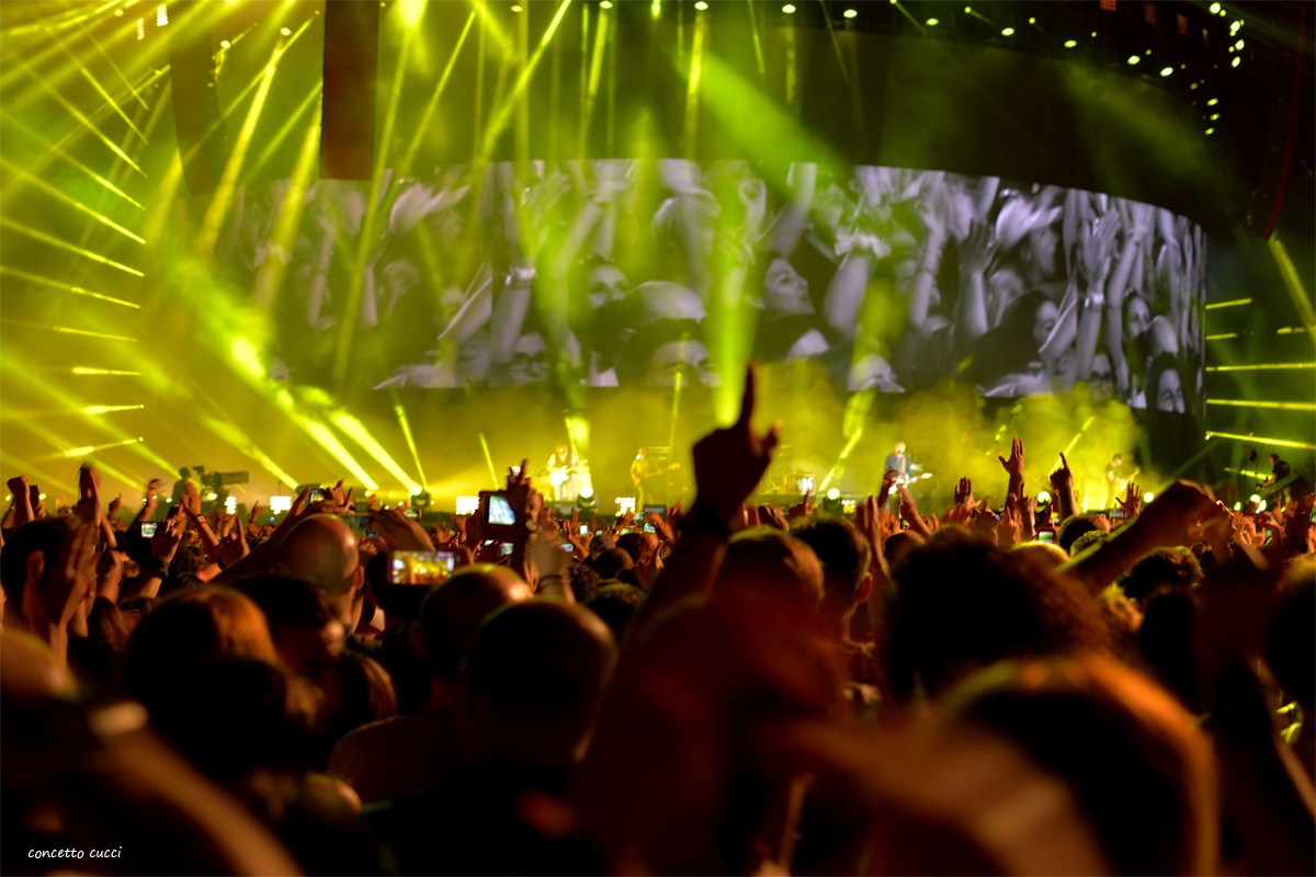 ligabue to massimino