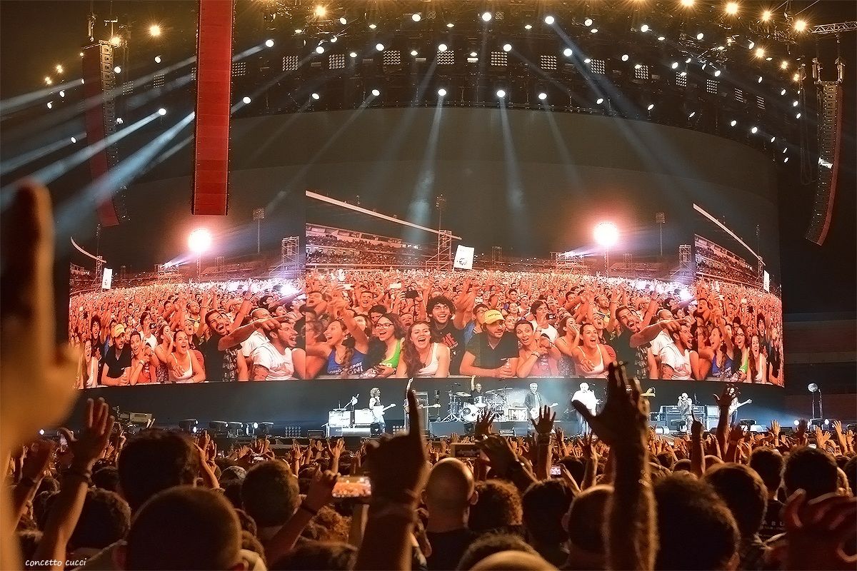 ligabue to massimino