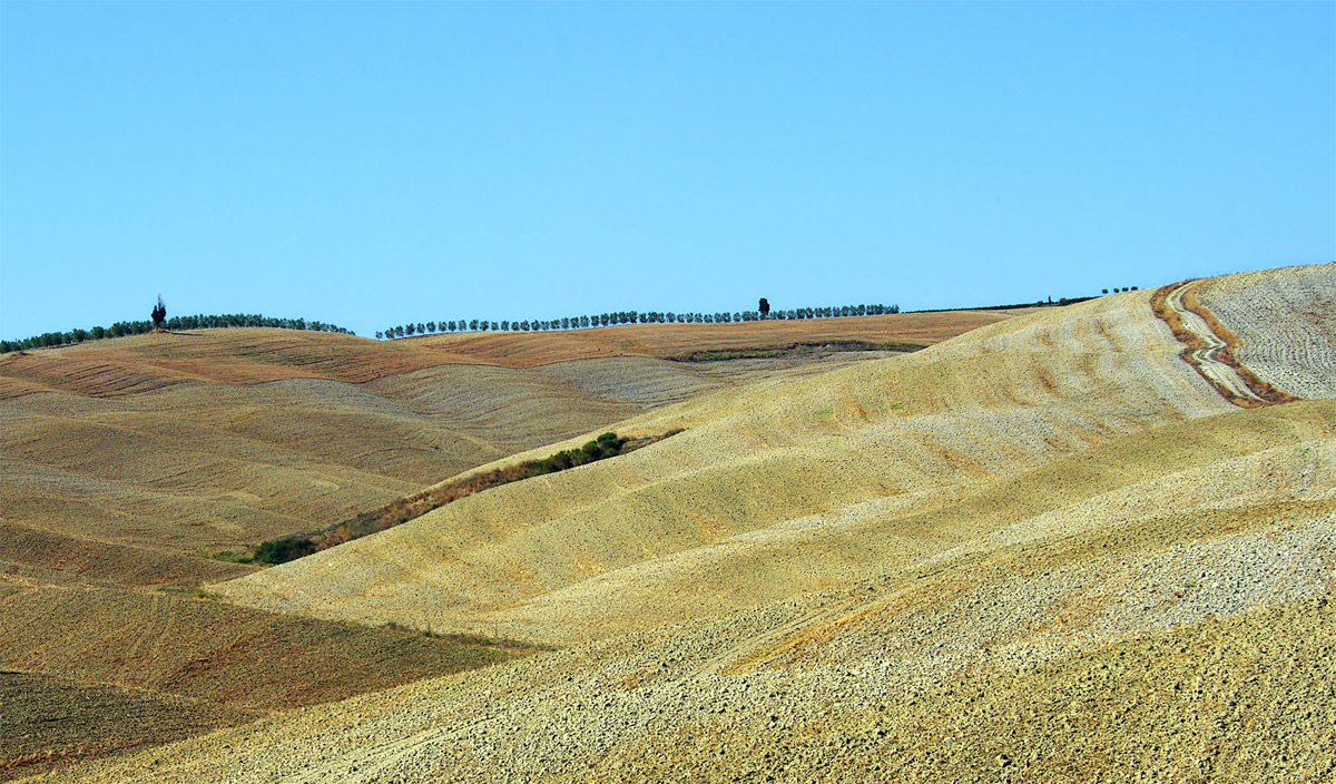 Le vedette (Val d'Orcia)
