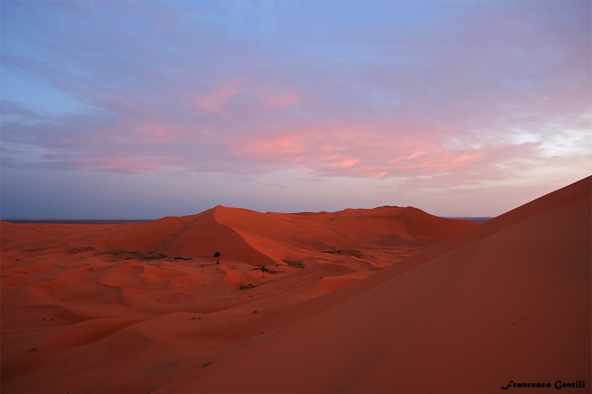 The sunrise over the desert