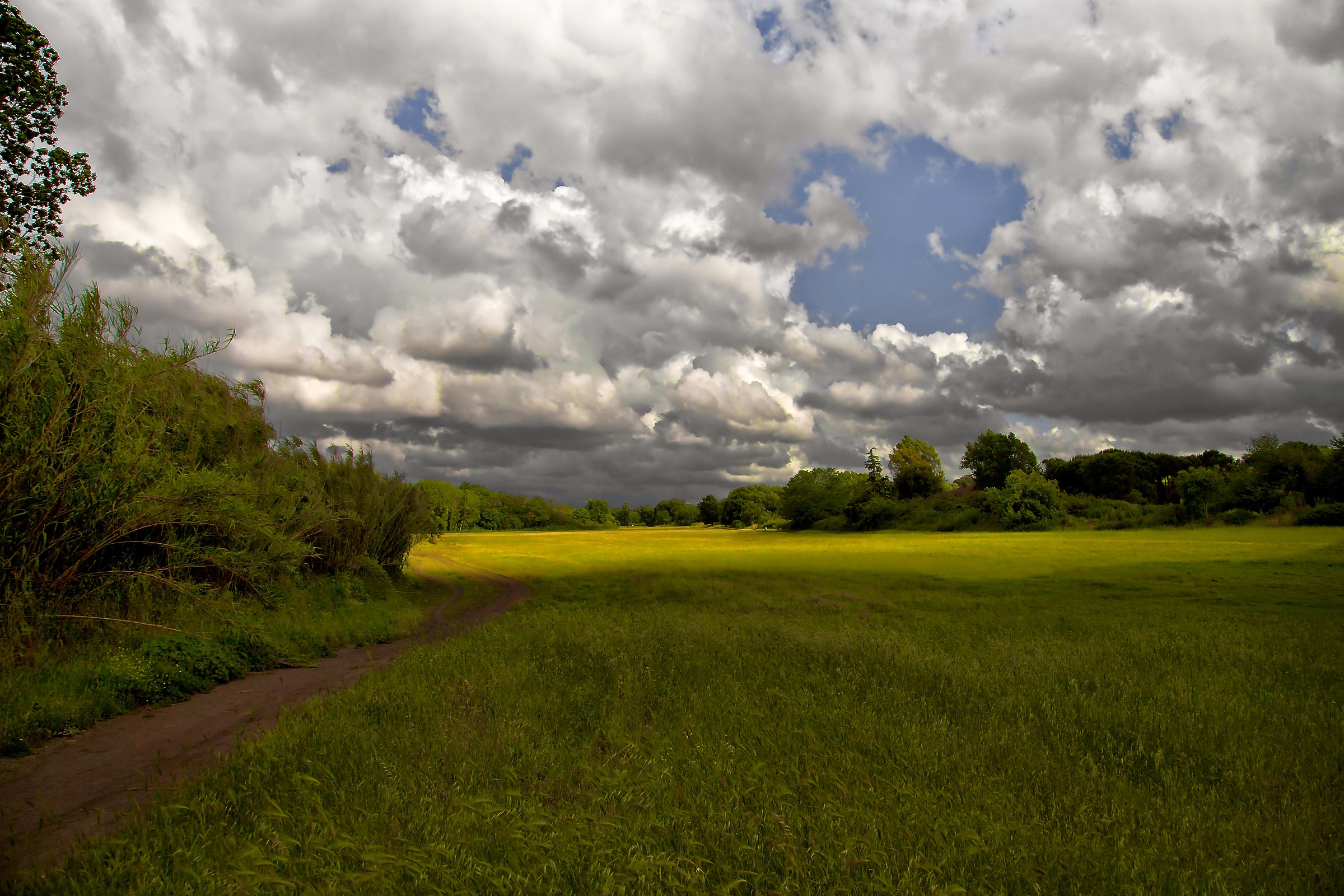 Camminando tra le nuvole