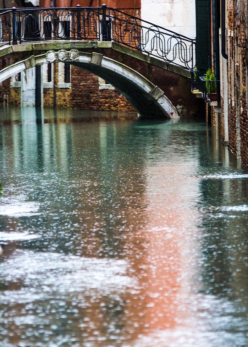 Venezia