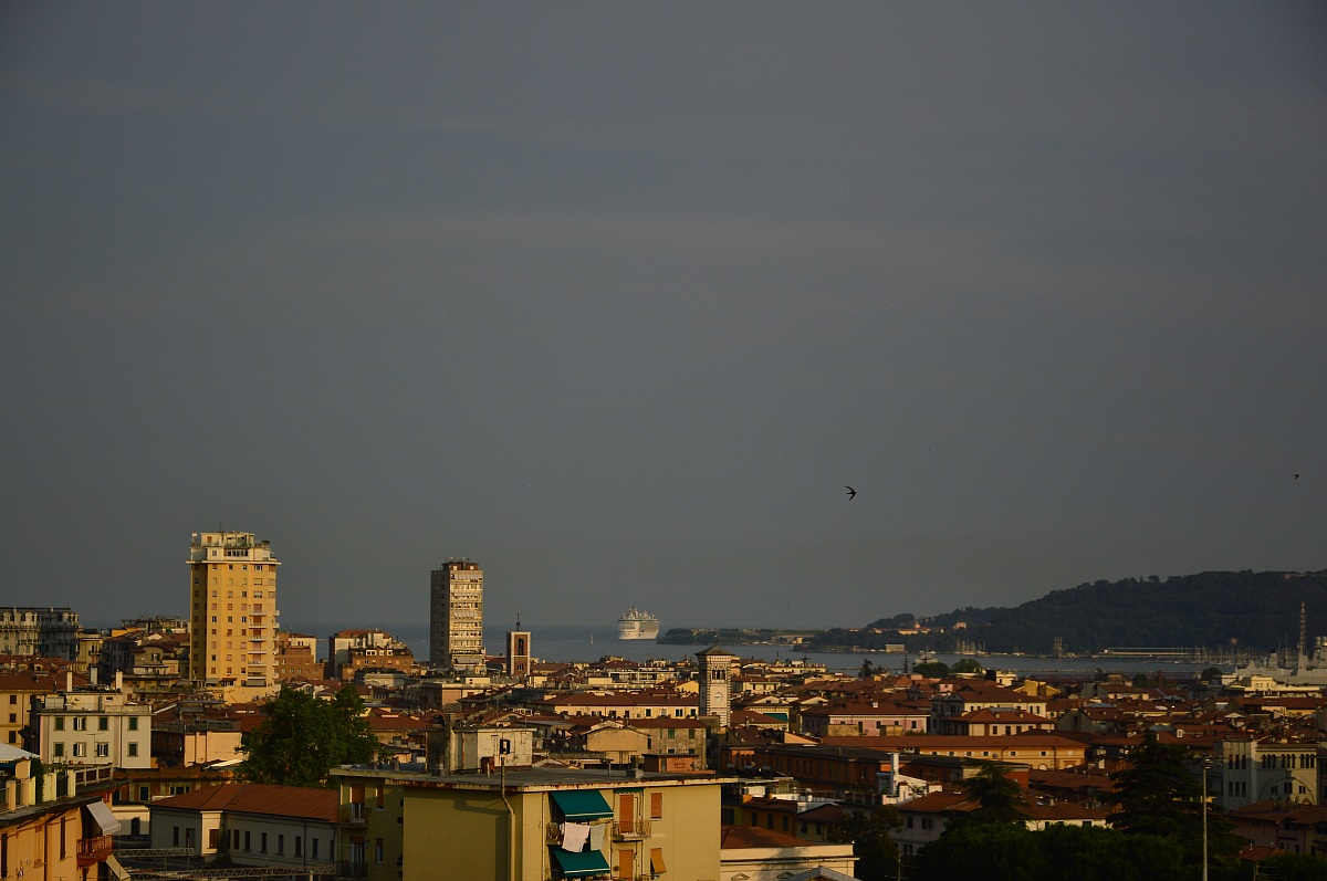golfo,rondini & crociere
