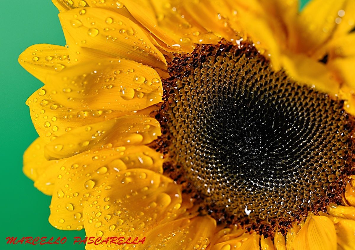 un po' di refrigerio