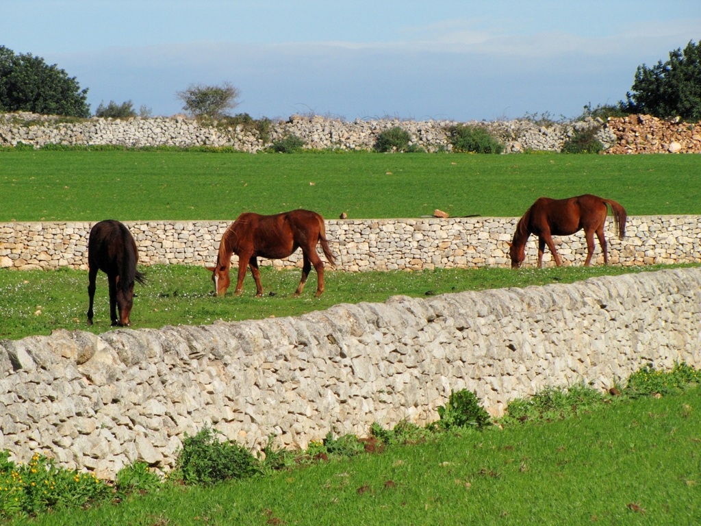 Dry stone walls