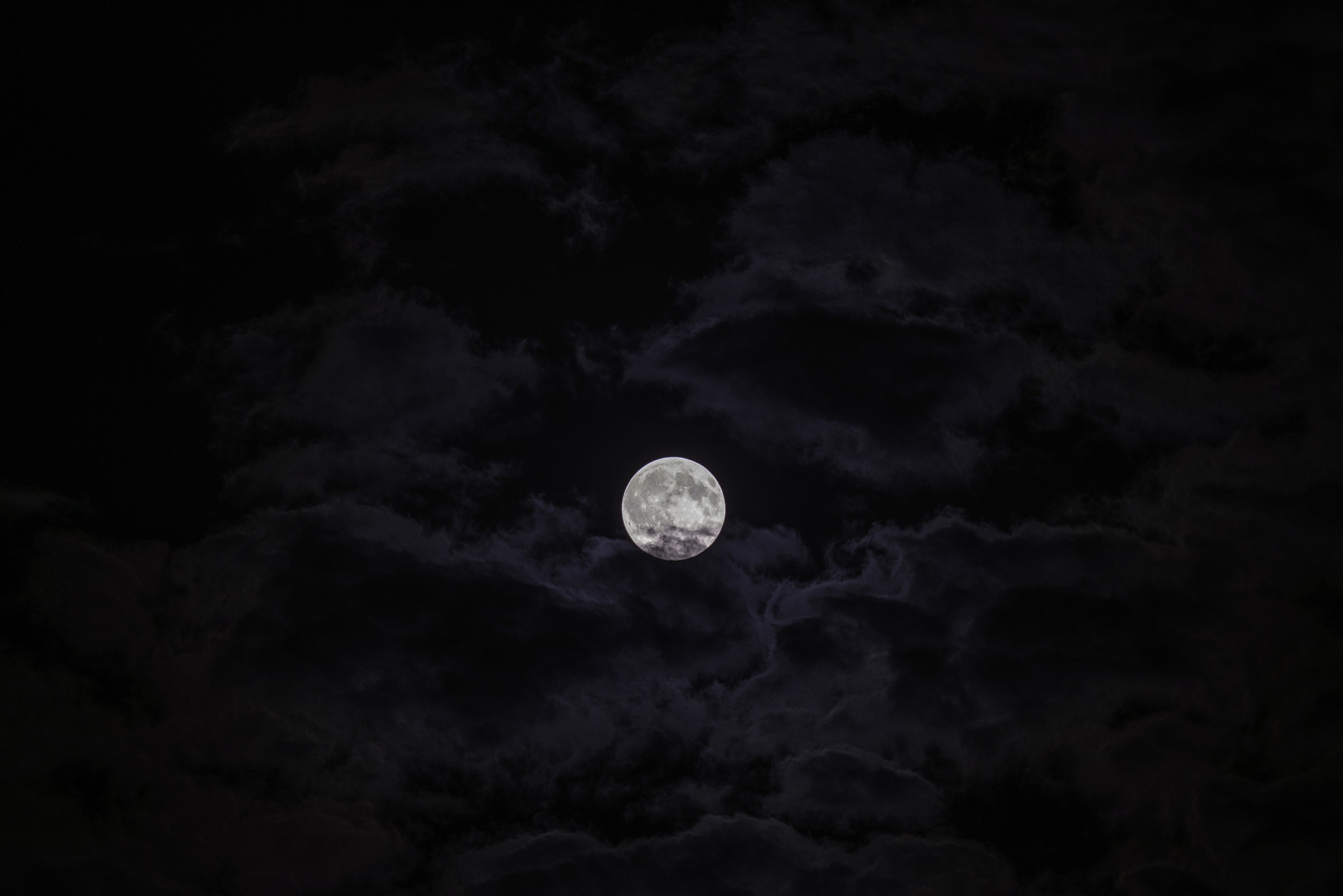 Tra le nuvole...............