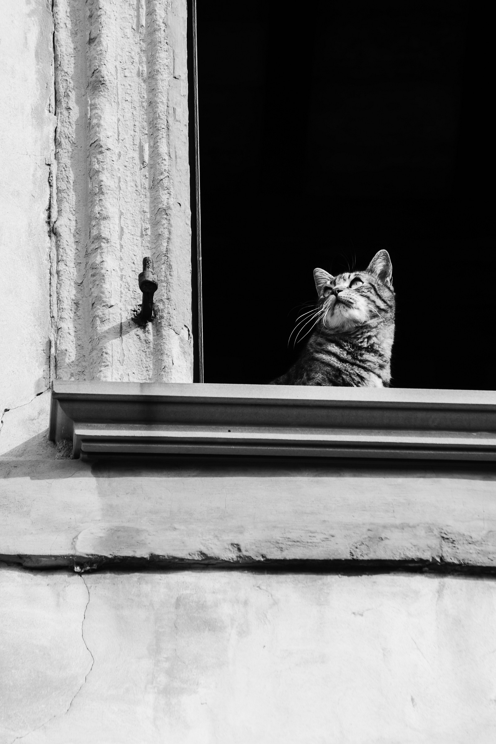 Affacciato alla finestra