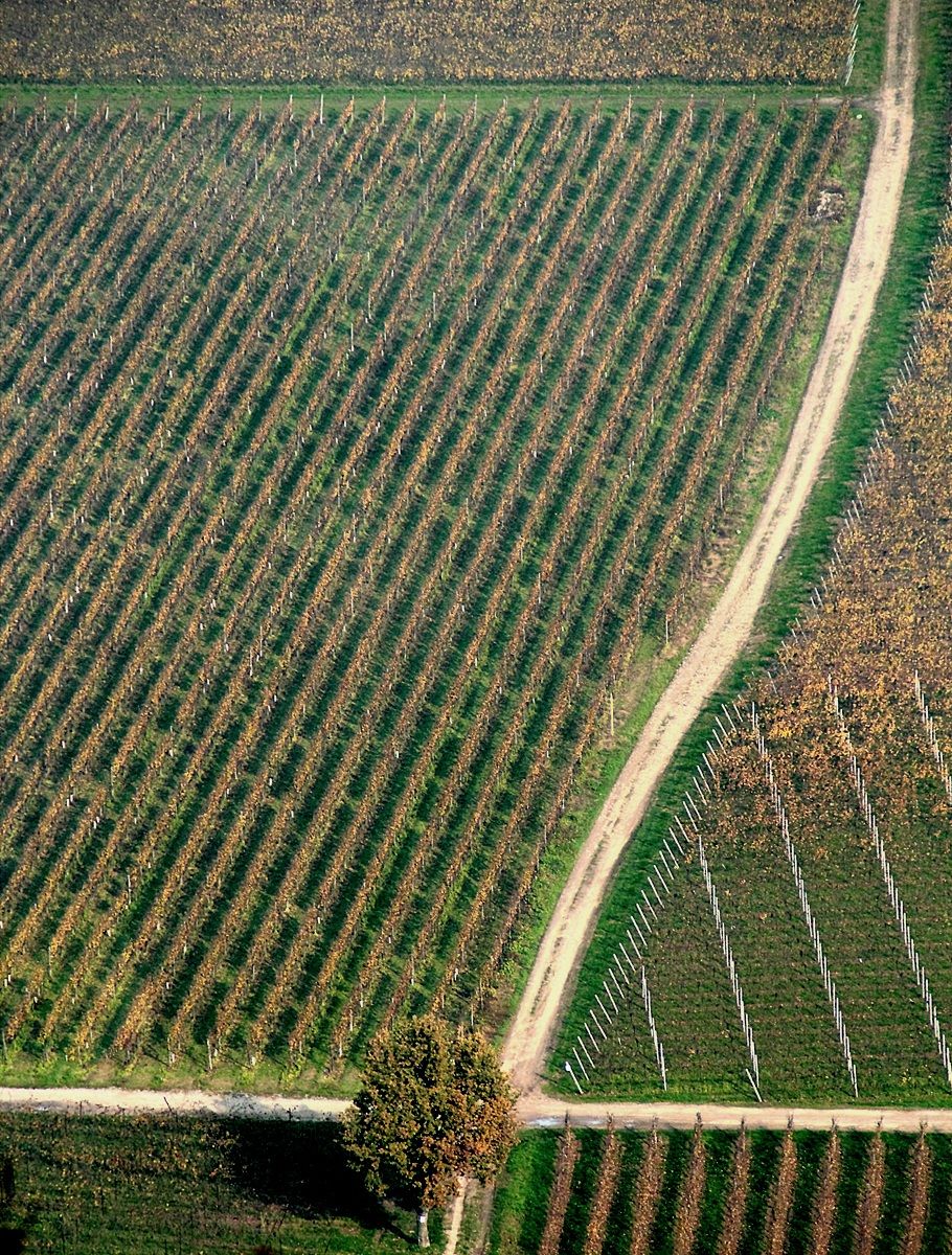 Strade di Franciacorta V