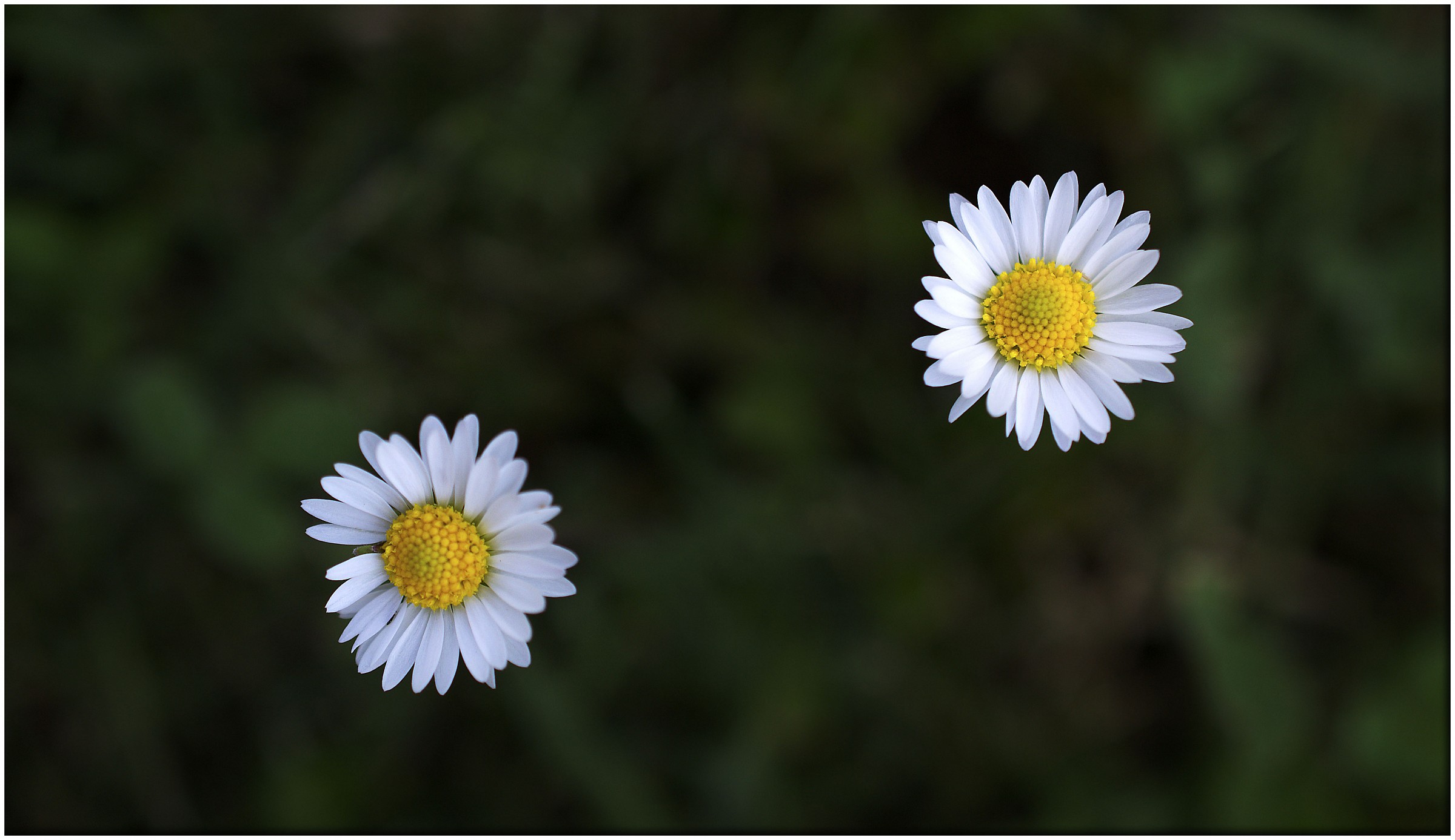 Two eyes turned to the sky