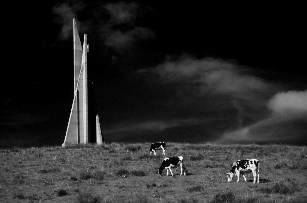 2001 odissea nell'alpeggio