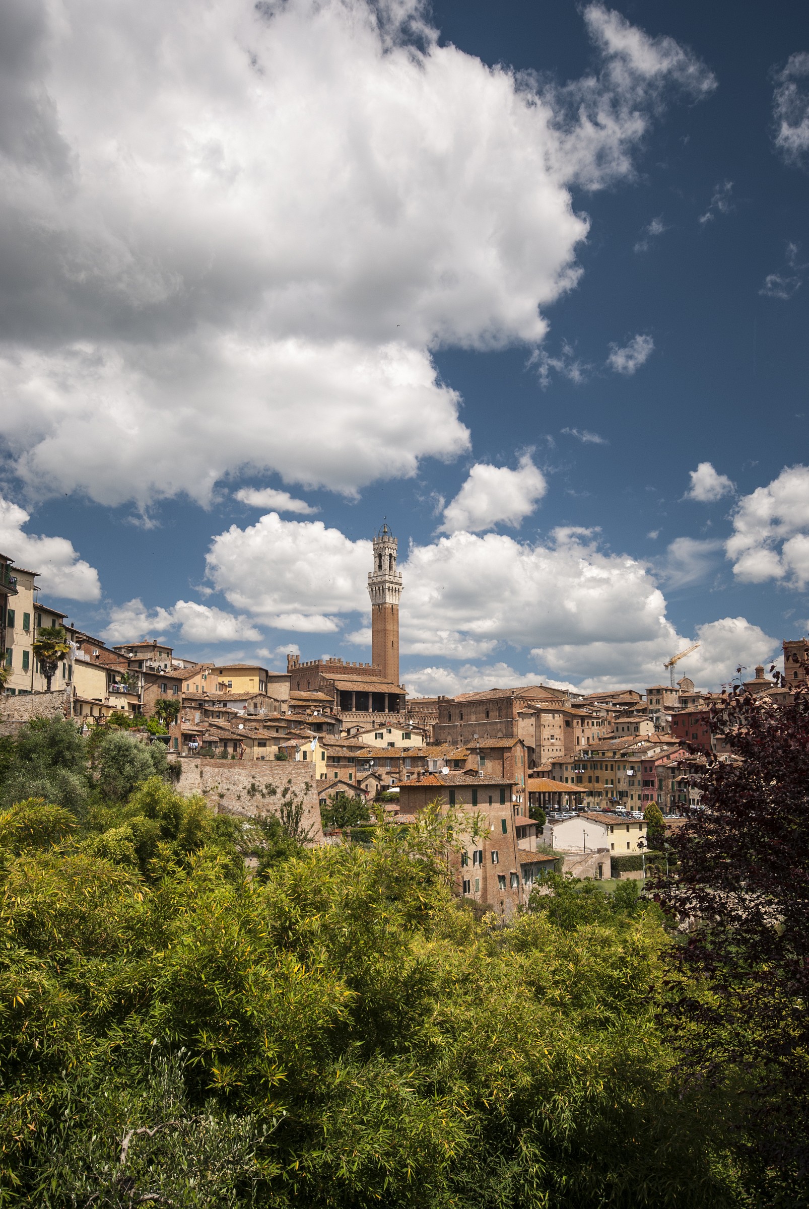 Siena: bella anche senza palio!