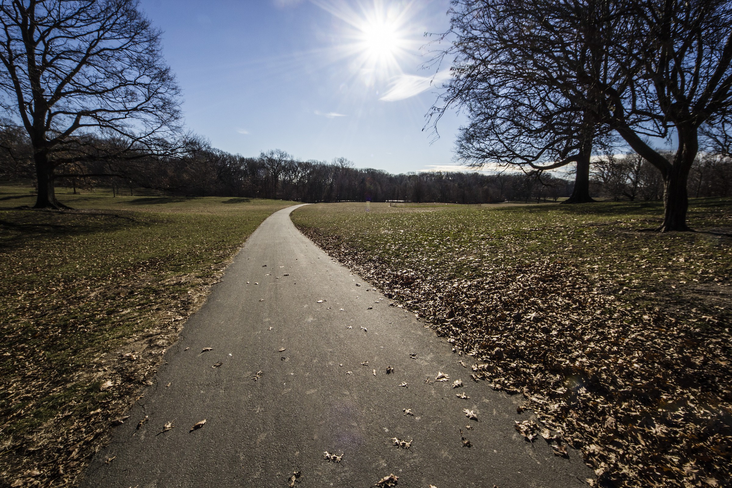 Prospect Park Brooklyn