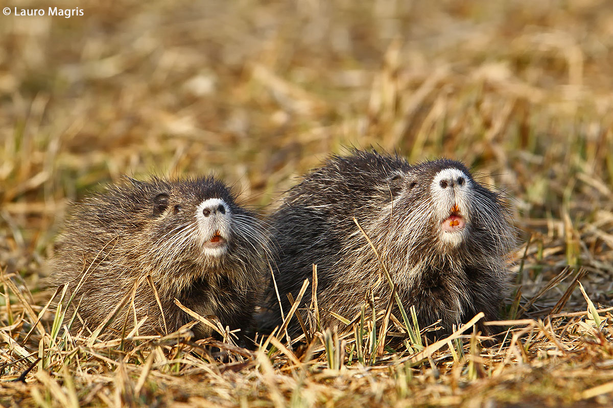Un sorriso per la Stampa