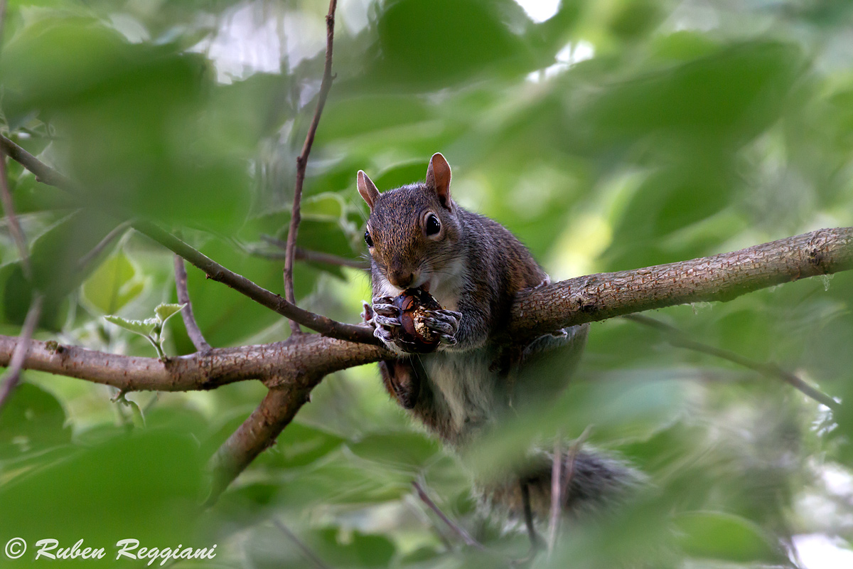 In cerca di tranquillità