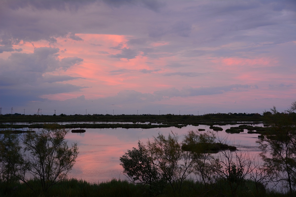 n°4 Lio Piccolo Laguna di Venezia 16.6.14 ore 20.58.25