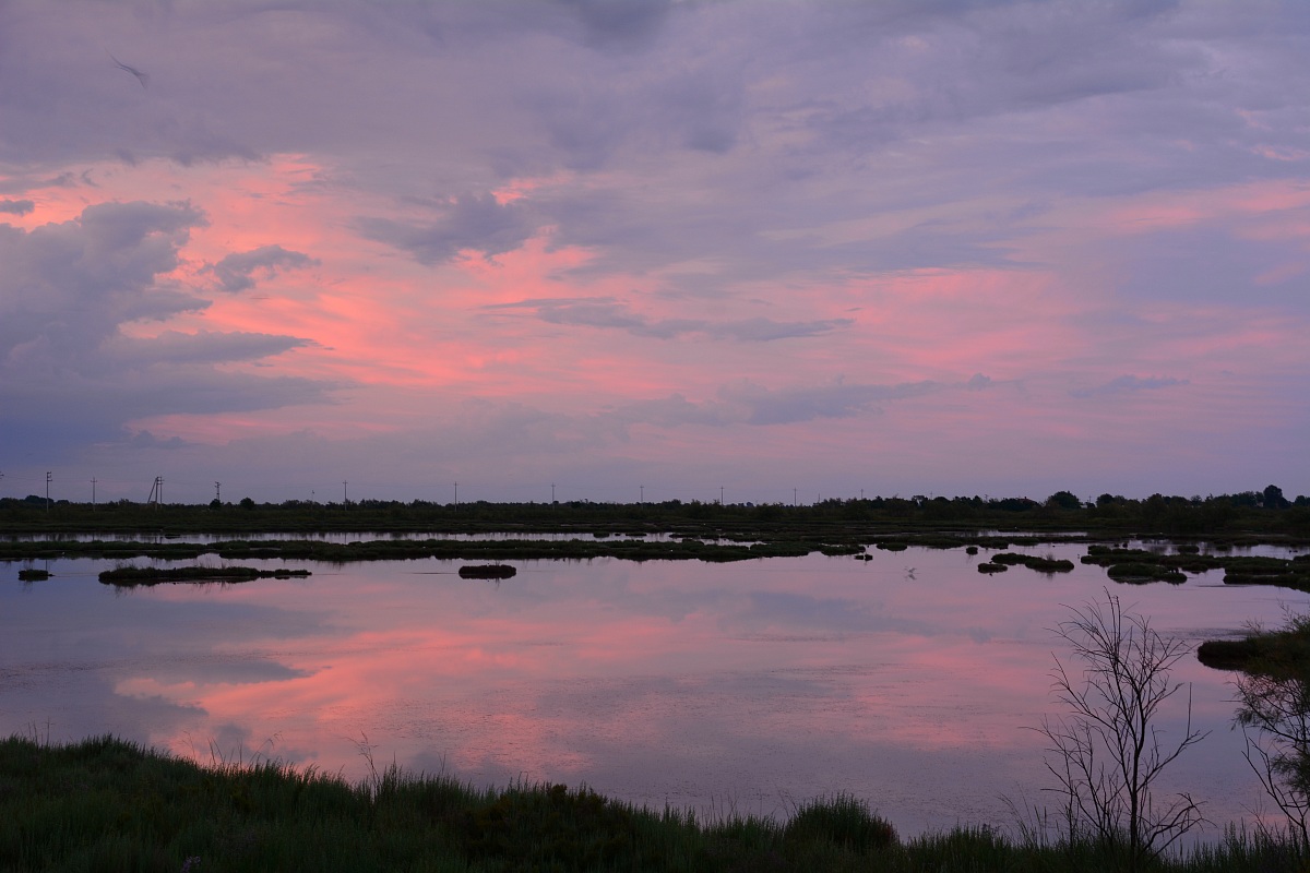 No. 7 Lio Piccolo Venice Lagoon 06/16/14 21:01:48 hours