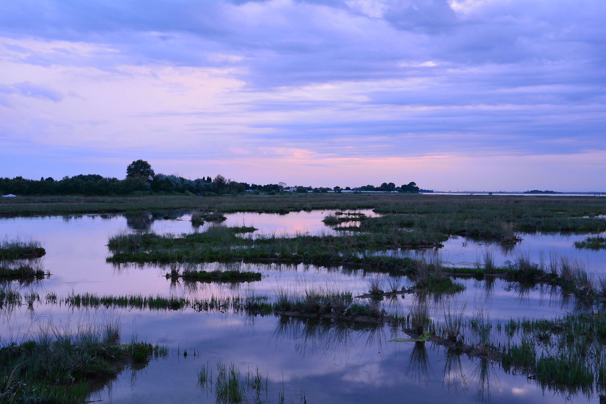 n°8 Lio Piccolo Laguna di Venezia 16.6.14 ore 21.10.35