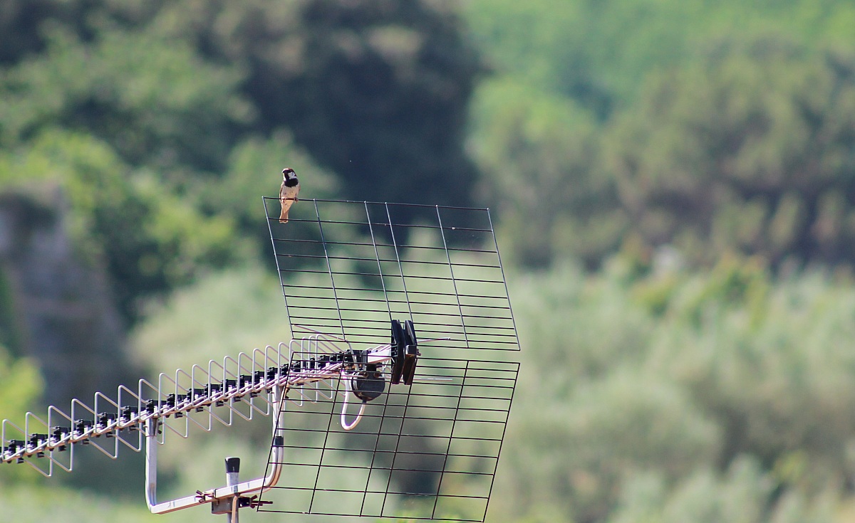 Invisibile a occhio nudo.