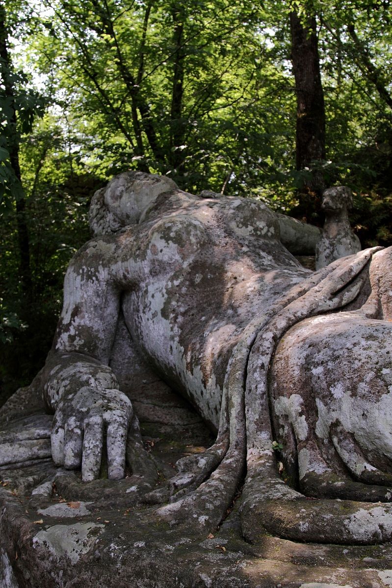 la bella addormentata nel bosco