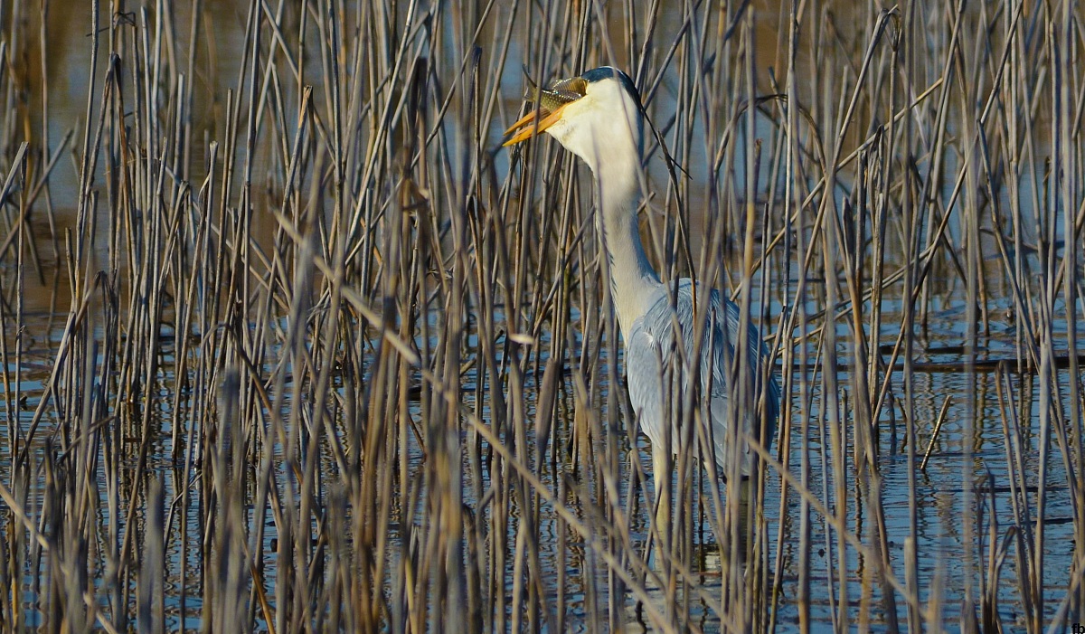 se non mi affogo questa volta!!!...