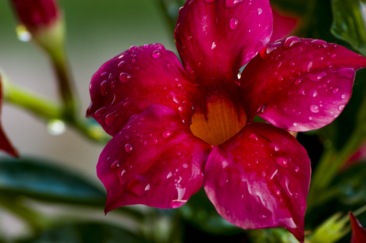 Un po' di macro o quasi