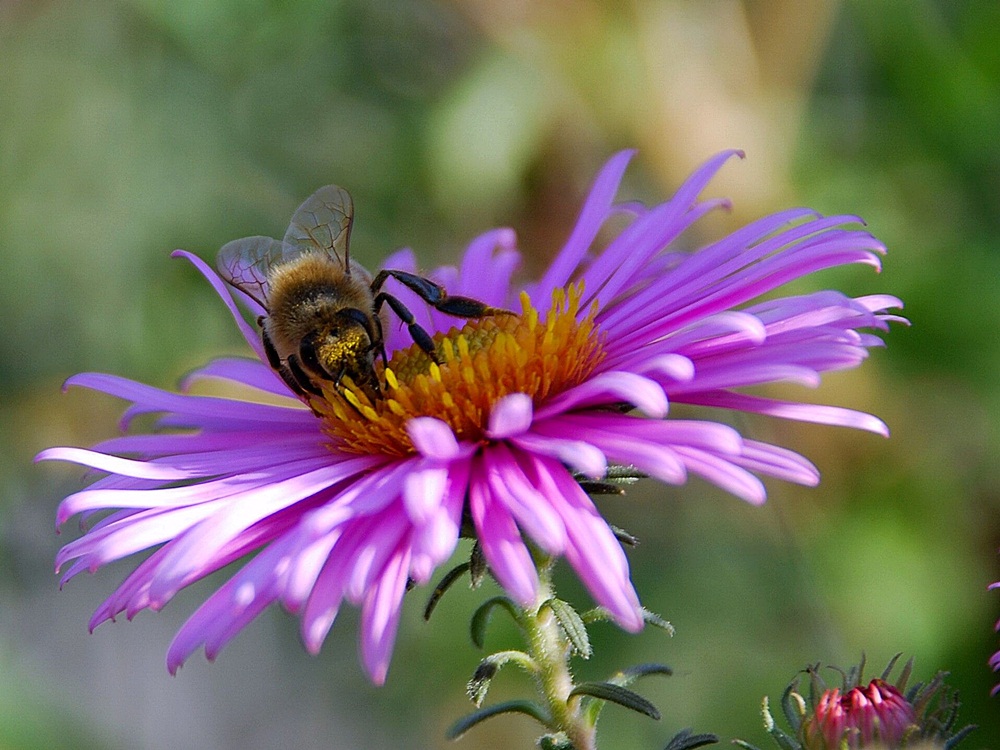 Un po' di macro o quasi