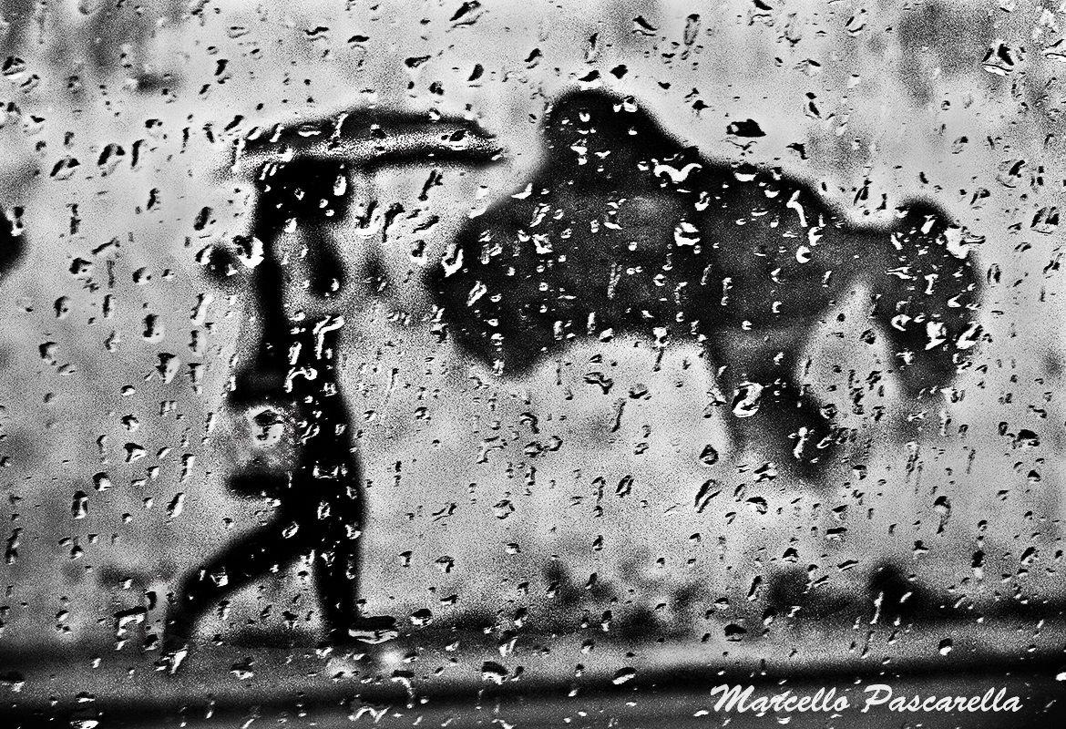 Una giornata uggiosa