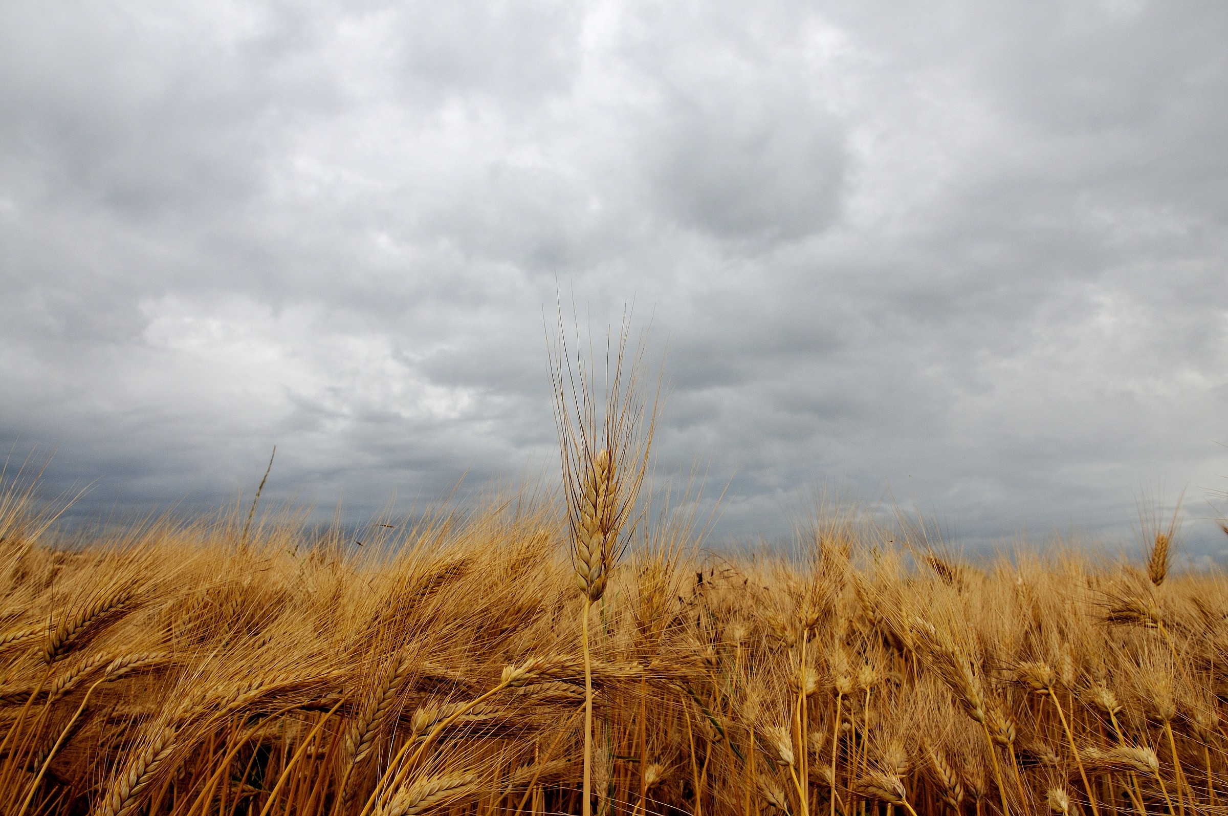 Aspettando il temporale