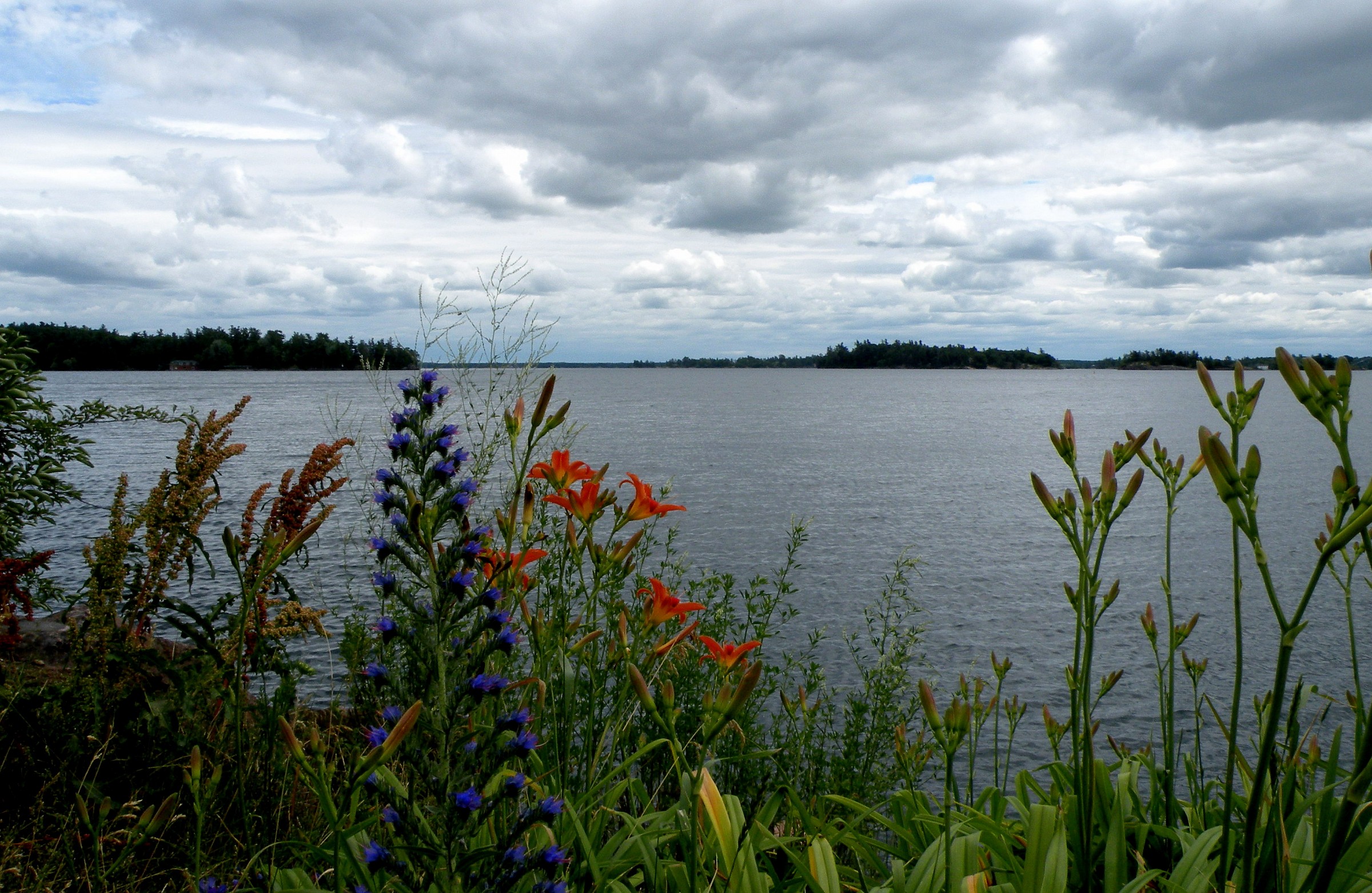 View of the St. Lawrence River (Canada)