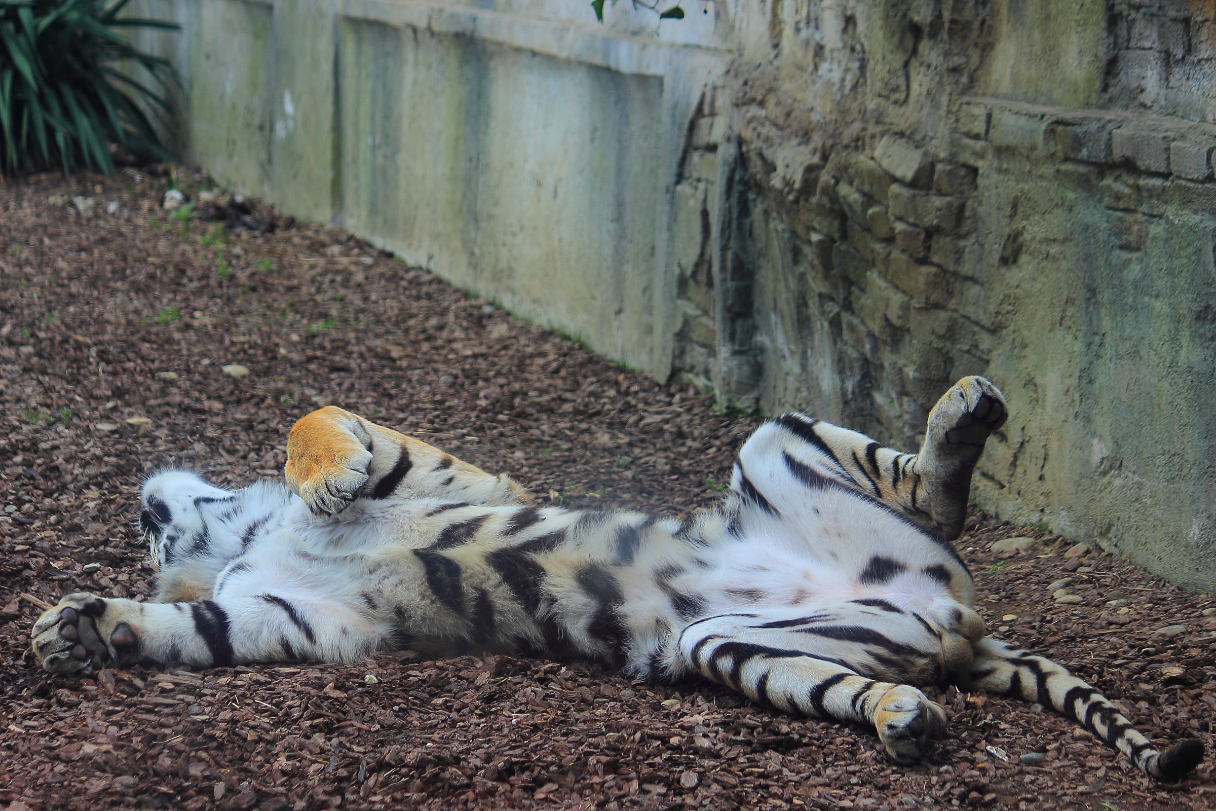 un grattino pericoloso...
