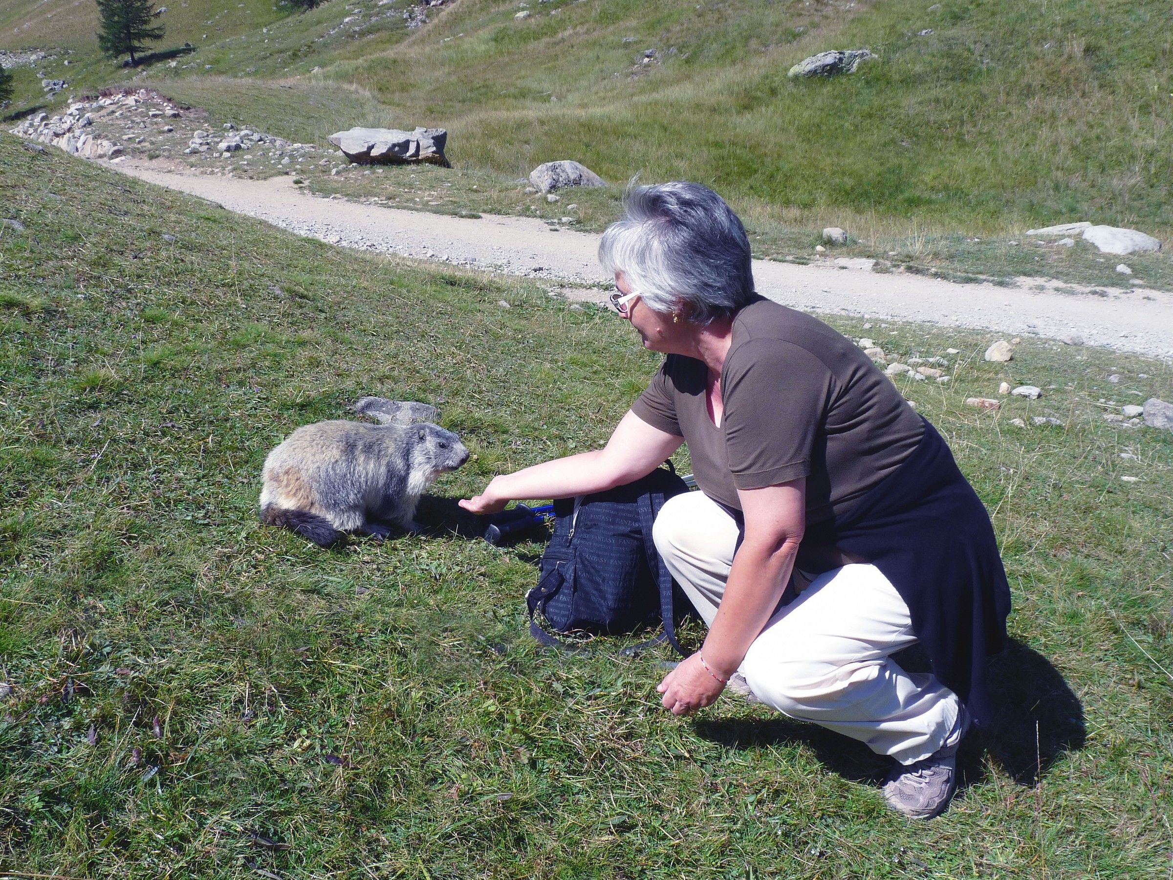 dialogare che bello!