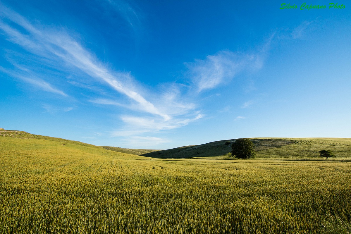 Windows XP :)