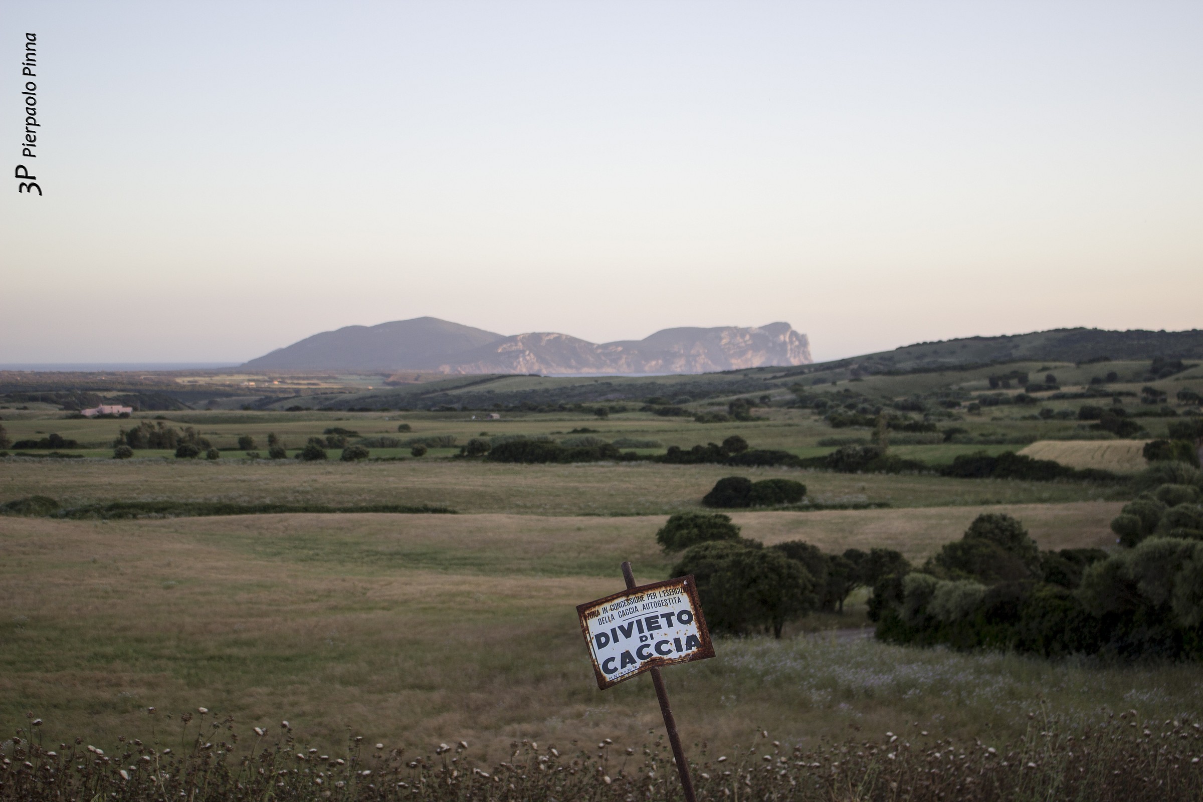 The Plain of Nura view from Palmadula