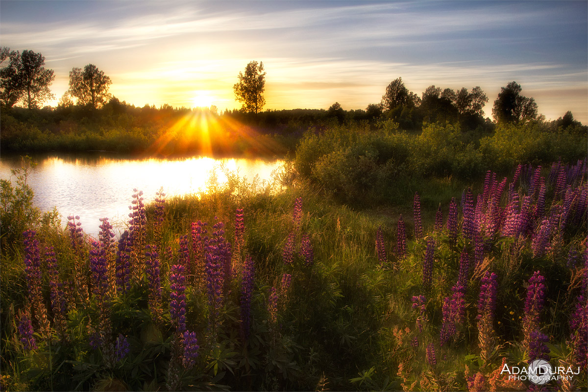On the edge of summer
