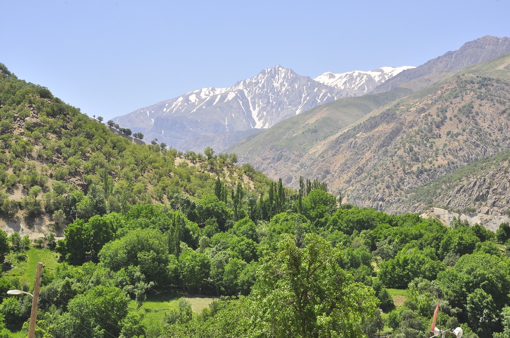 Doorak poshtkooh,fereydunshahr,iran