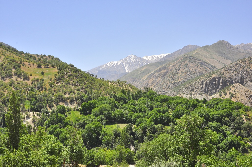 Doorak poshtkooh,fereydunshahr,iran