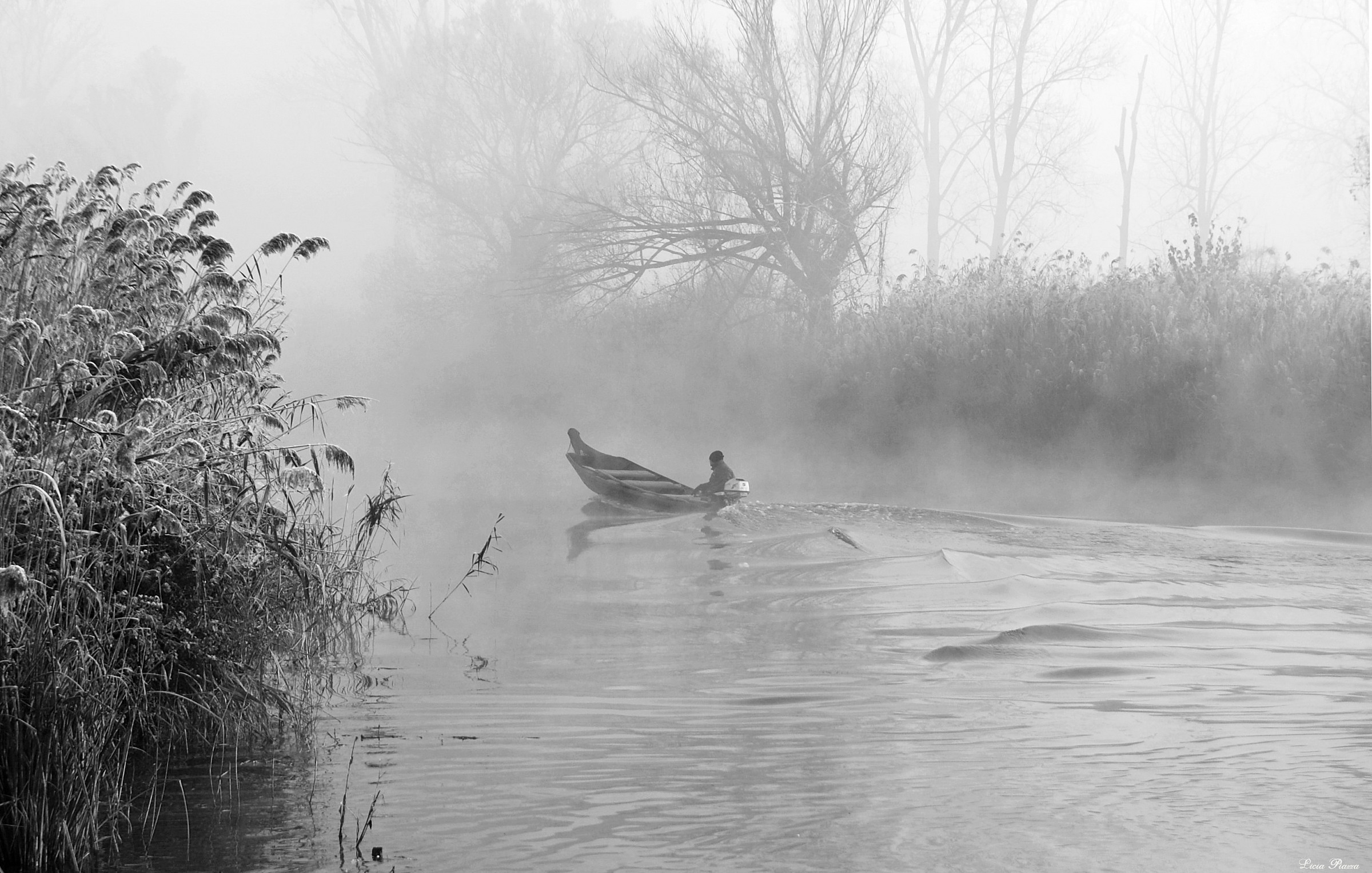 In viaggio sul fiume