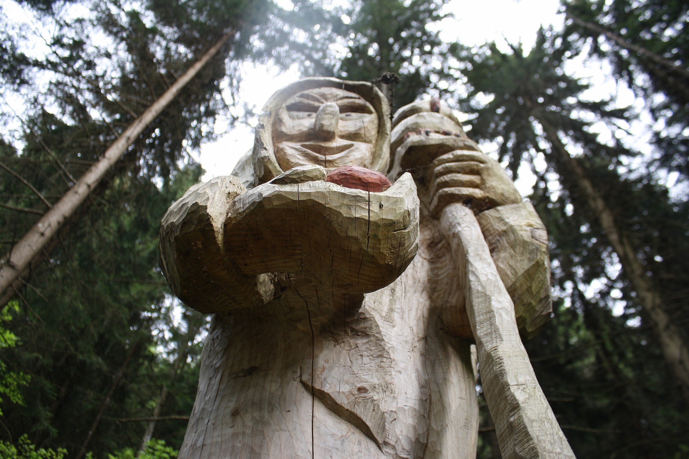 Alternative points of view