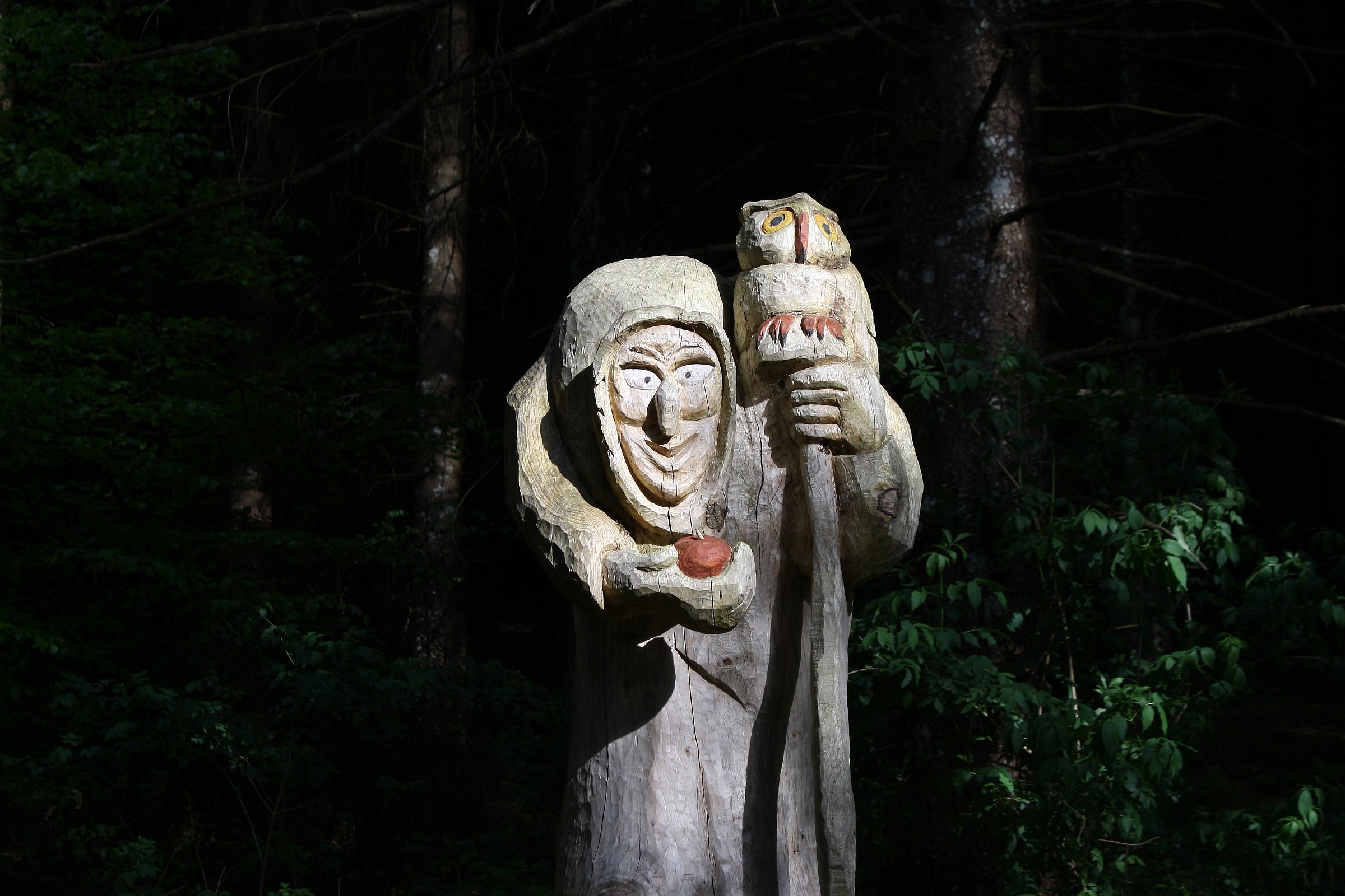 The forest comes alive