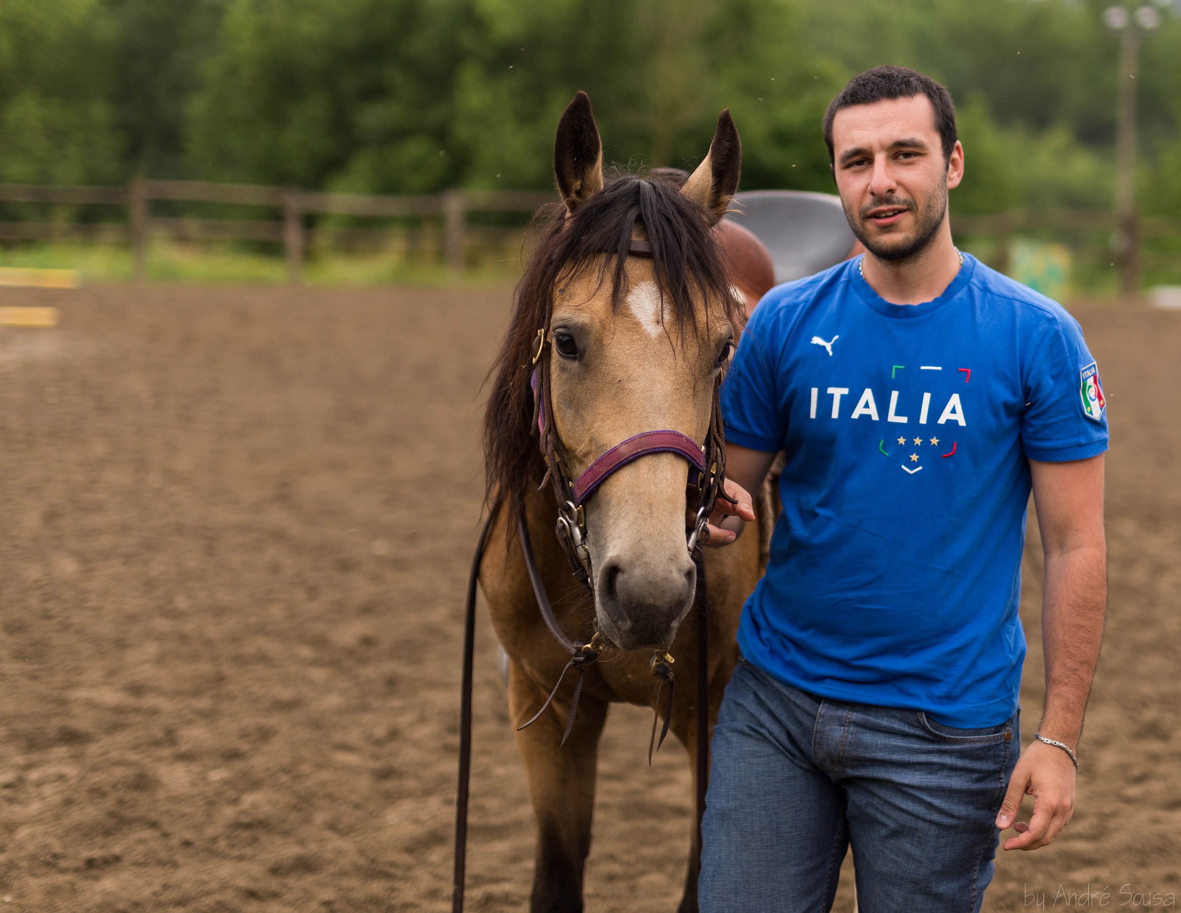 Il cavalo e il suo cavaliere